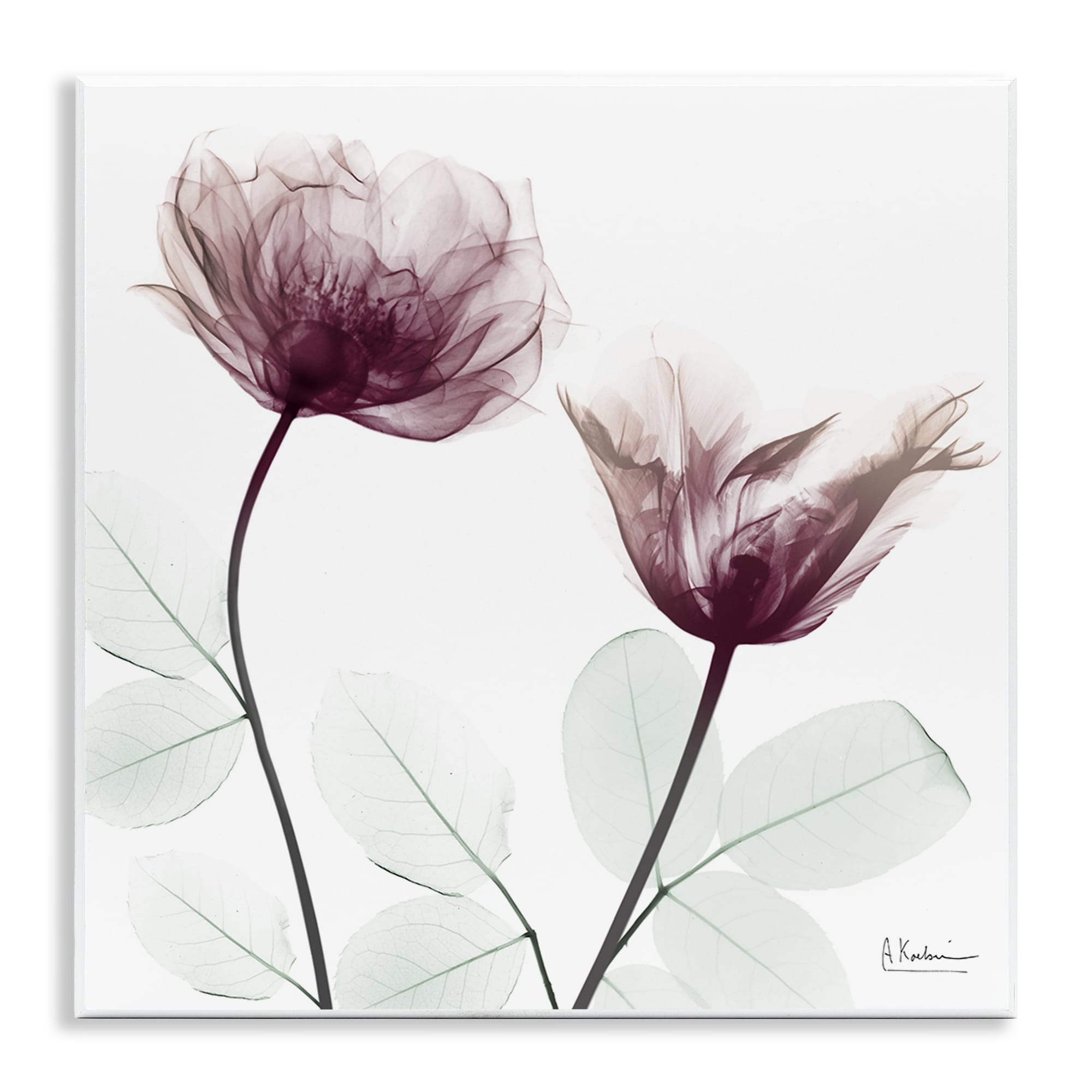 Stupell Minimalist Translucent Flowers Wall Plaque Art Design By Albert Koetsier