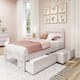 Option White Wash