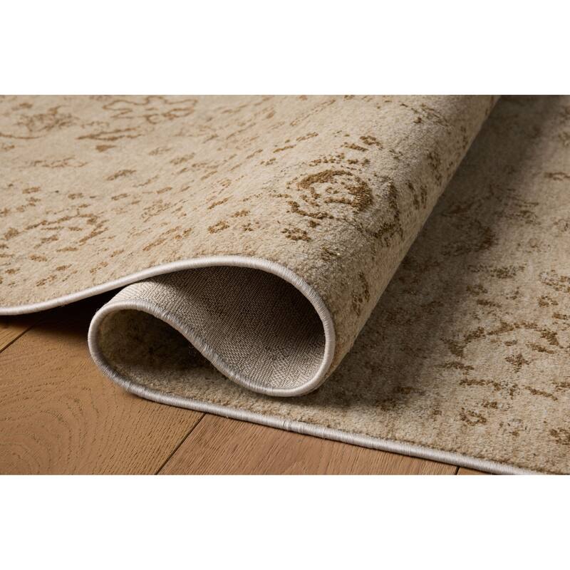 Alexander Home Halden Traditional Area Rug