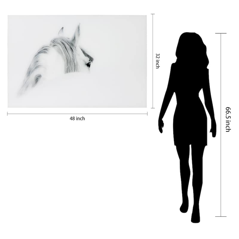"Blanco Mare Horse" Frameless Free Floating Tempered Glass Panel Graphic Wall Art