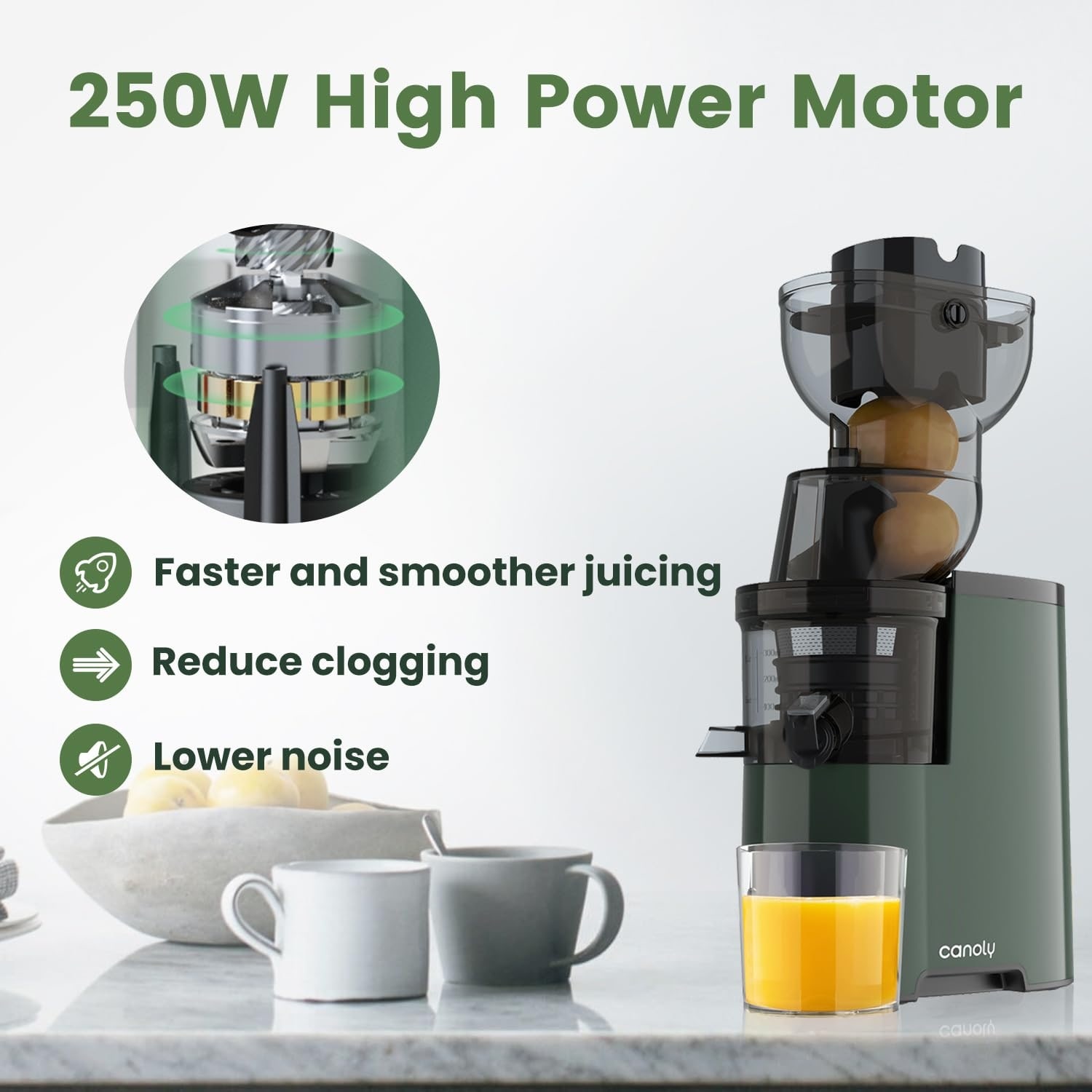 Masticating Juicer Machines, 3.5-inch (88mm) Slow Cold Press