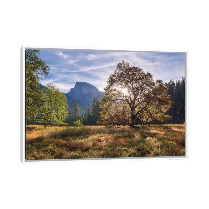 iCanvas "Cook's Meadow" by Adam Burton Framed Canvas Print - White - 32x48