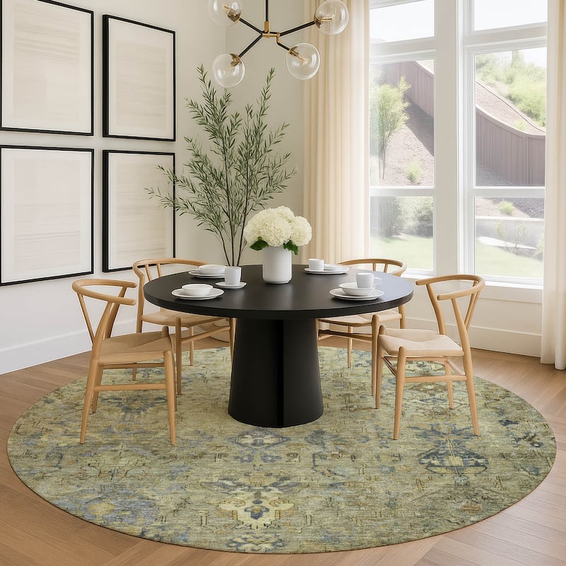 Machine Washable Indoor/ Outdoor Traditional Serenity Chantille Rug