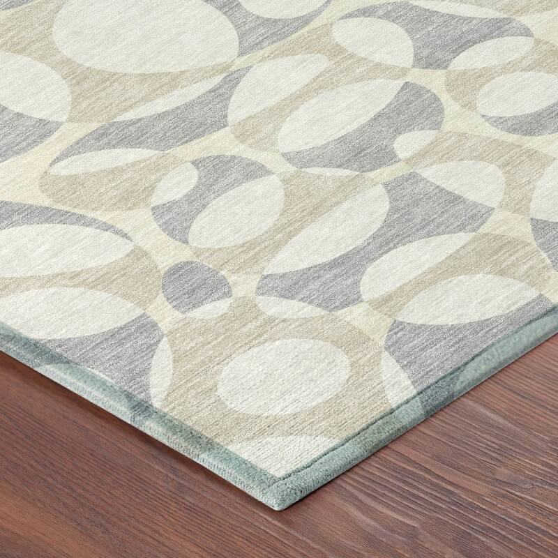 Machine Washable Indoor/ Outdoor Contemporary Saline Chantille Rug
