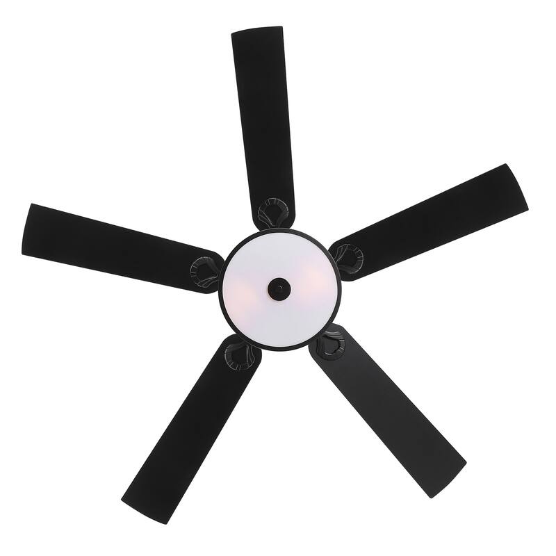 52-inch Reversible 5-Blade Caged Ceiling Fan with Light and Remote