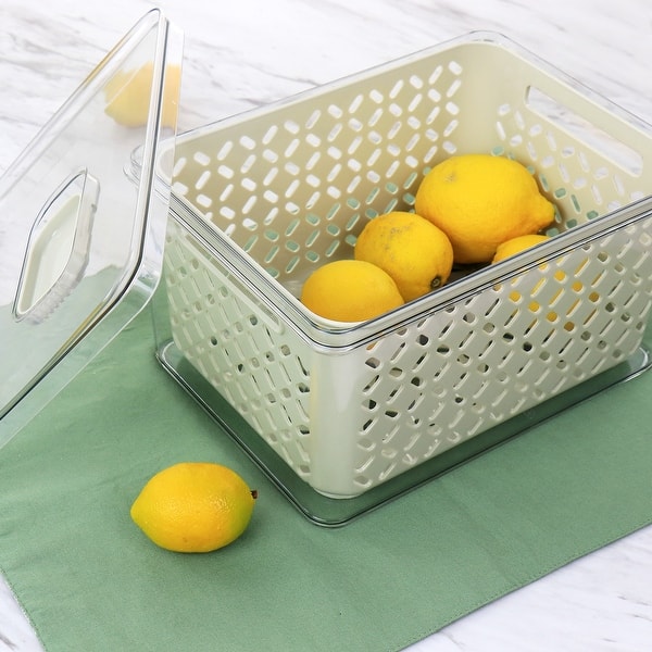 https://ak1.ostkcdn.com/images/products/is/images/direct/986838f4b04a9dccf15e66403a3a41b8cc709182/Martha-Stewart-Large-Fresh-Keeper-Container-Set.jpg?impolicy=medium
