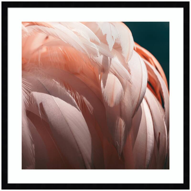 Kate and Laurel Flamingo No. 2 by Alicia Bock Framed Wall Art Print - 25 x 25 - Black