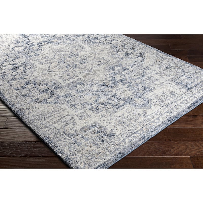 Fiorina Updated Traditional Diamond Area Rug