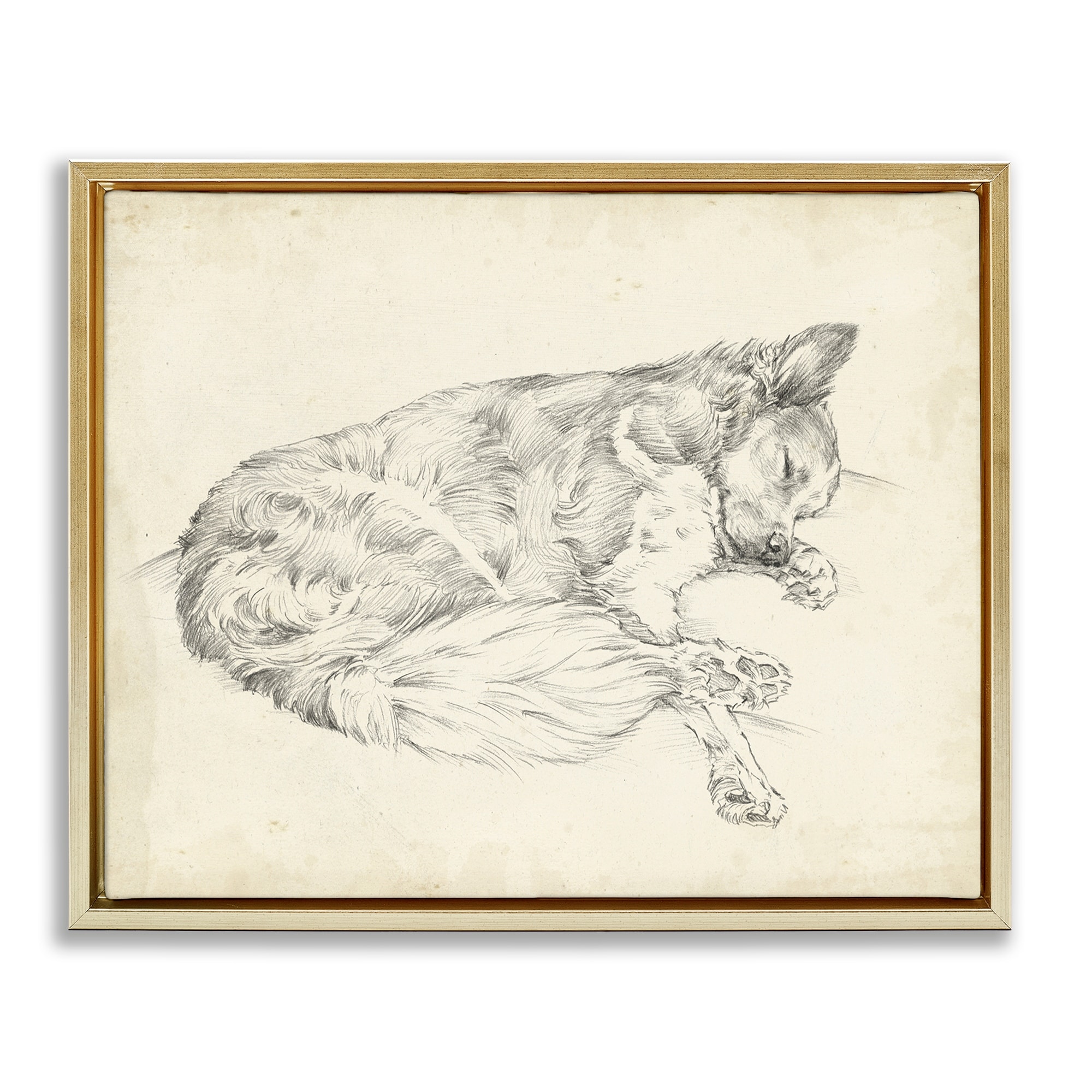 Stupell Antique Dog Drawing Framed Floater Canvas Wall Art Design By Ethan Harper
