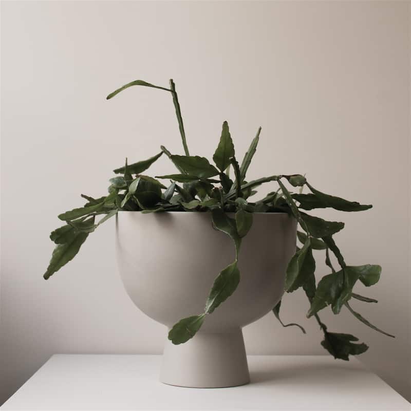 Figure large Planter -Mole