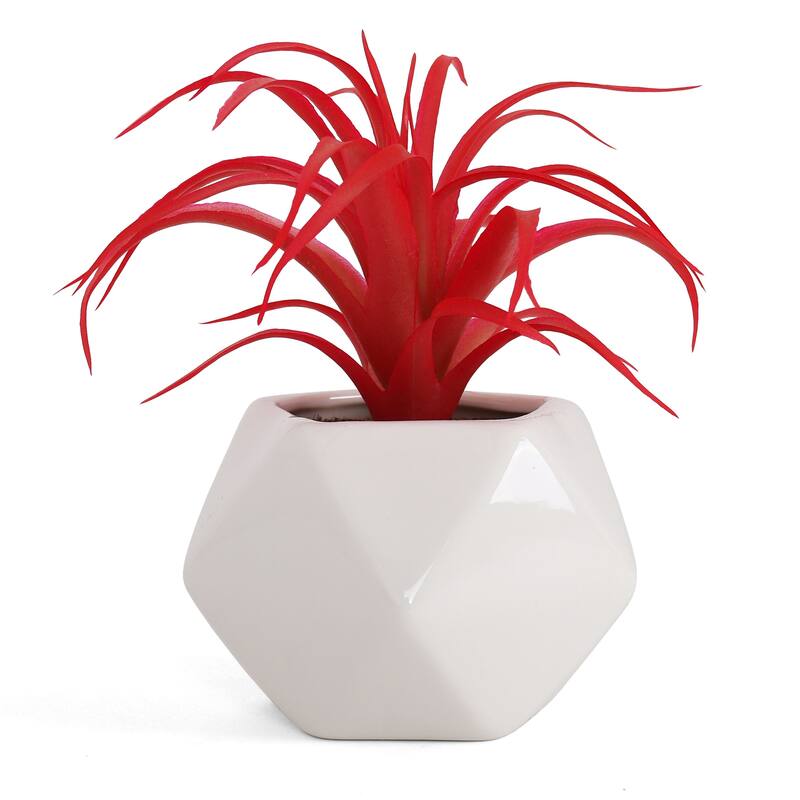 Artificial Succulent - 1 pack - Red Tillandsia
