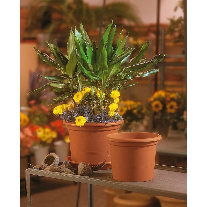 15.75" Geo Planter in Terra Cotta - 15.5" w x 11.75" h