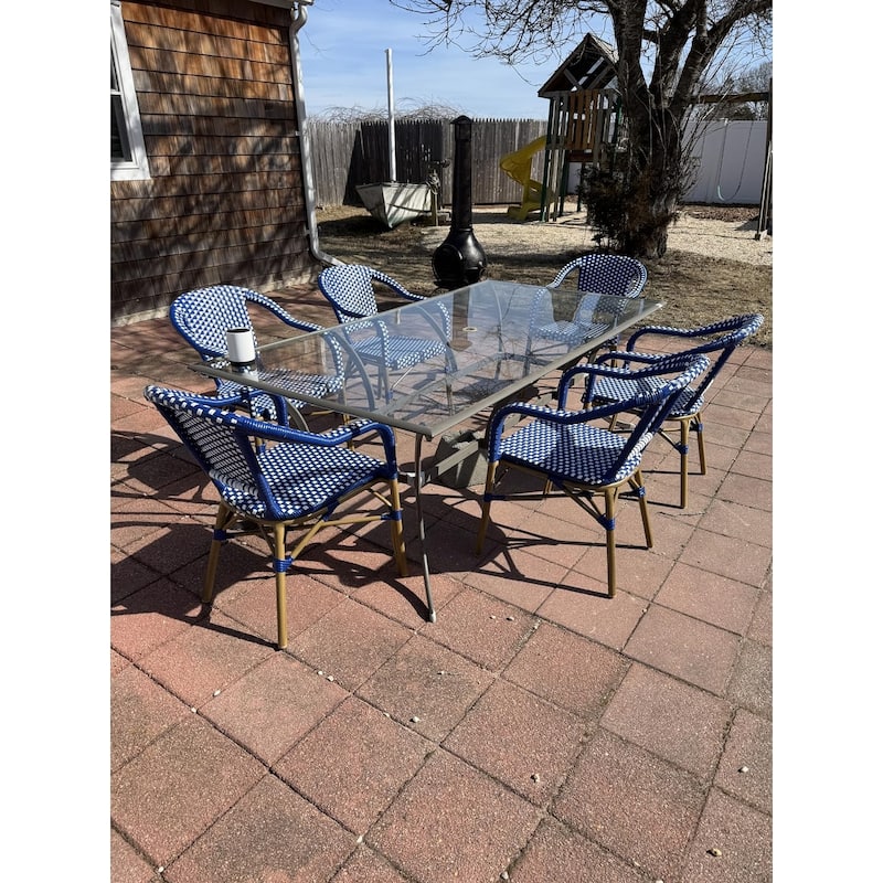 PURPLE LEAF Outdoor Dining Chairs (Set of 2) French Hand-Woven Aluminum Wicker Chairs
