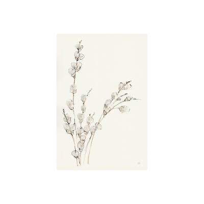 Willows V (28 x 42) Canvas Art Print