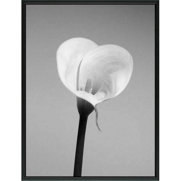 Easy Art Prints PhotoINC Studio's 'Calla No. 2' Premium Canvas Art