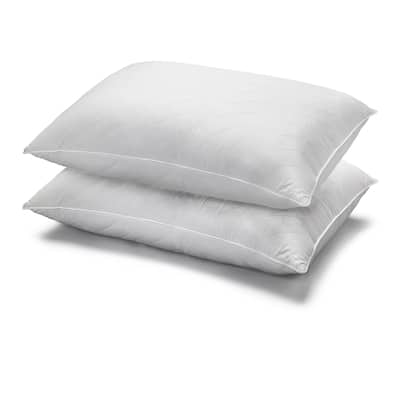 Plush Cotton Chevron Quilted Pillow, Medium, Standard (Set of 2)