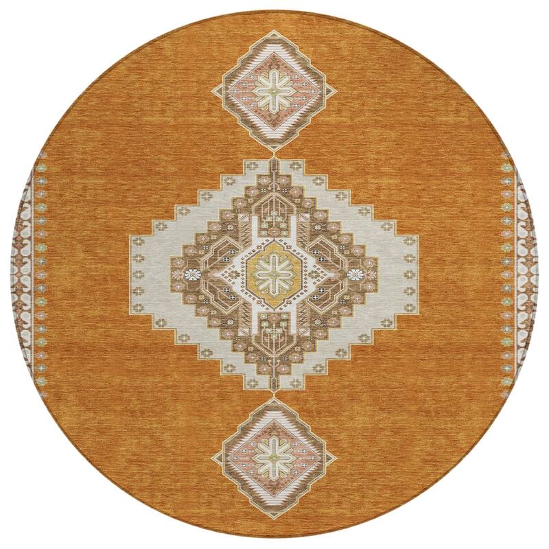 Machine Washable Indoor/ Outdoor Boho Traditional Chantille Rug
