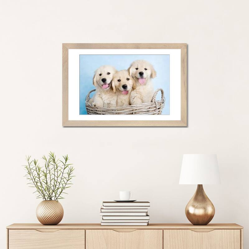 iCanvas "Buffy, Biskit, And Beau" by Rachael Hale