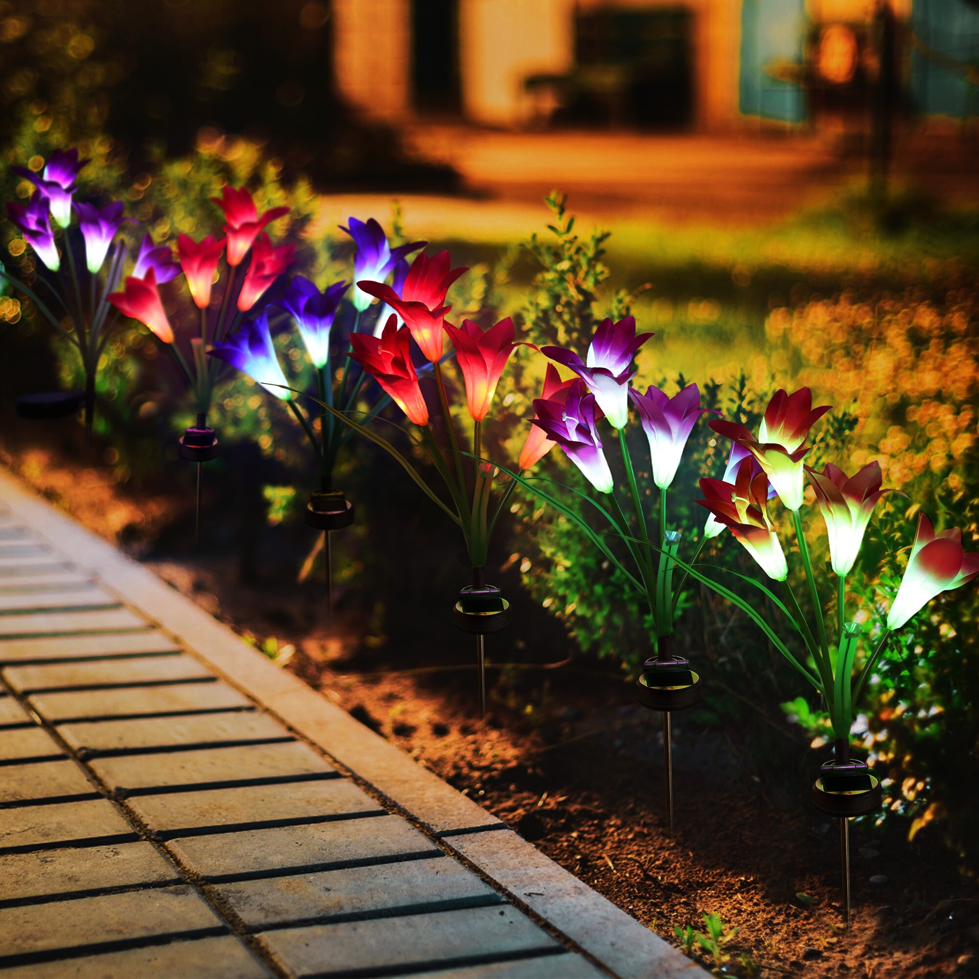 Solar lilies new arrivals