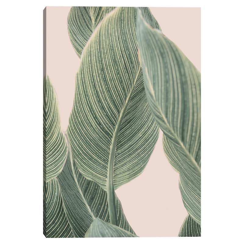 Cala by Sisi and Seb Canvas Art Print