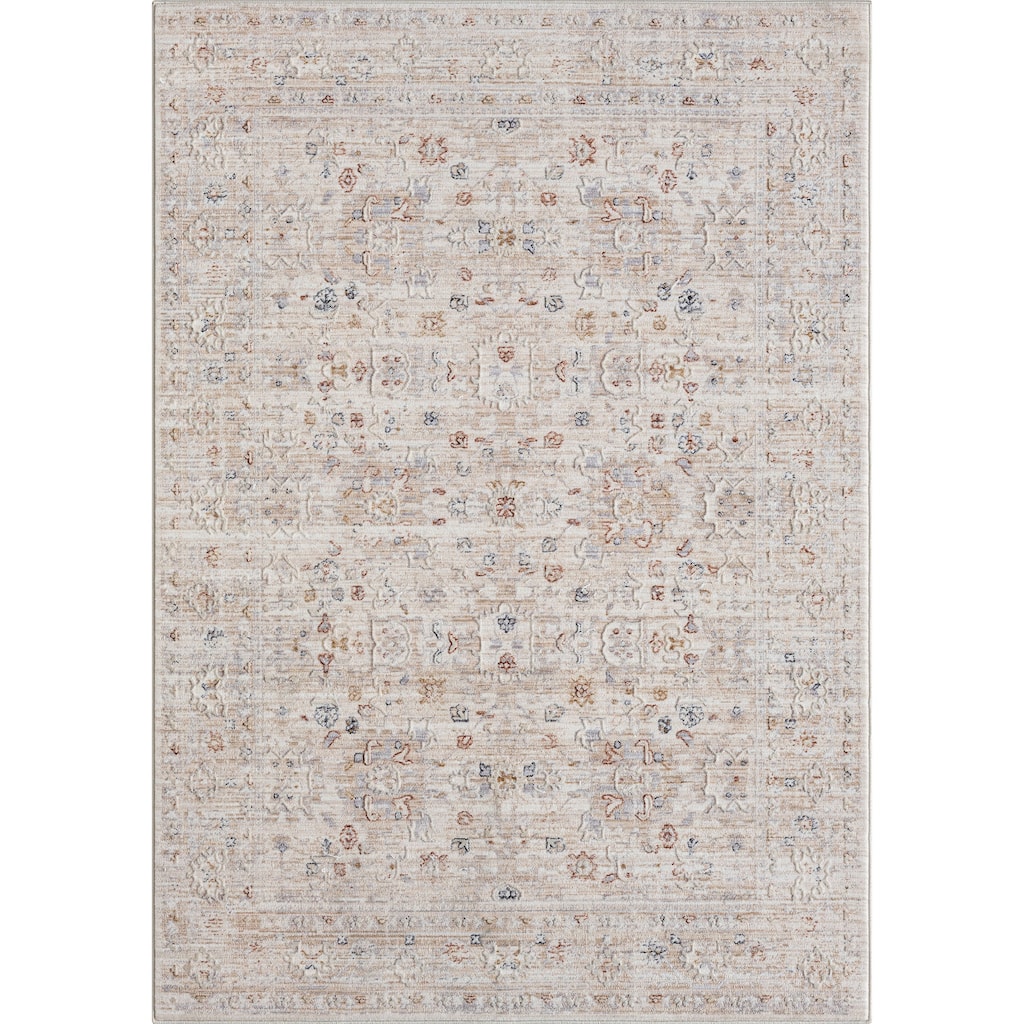Tehe Stylish Area Rug By HomeRoots - 4' x 6'