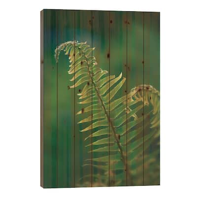 Garden Fern Print On Wood by Savanah Plank - Multi-Color