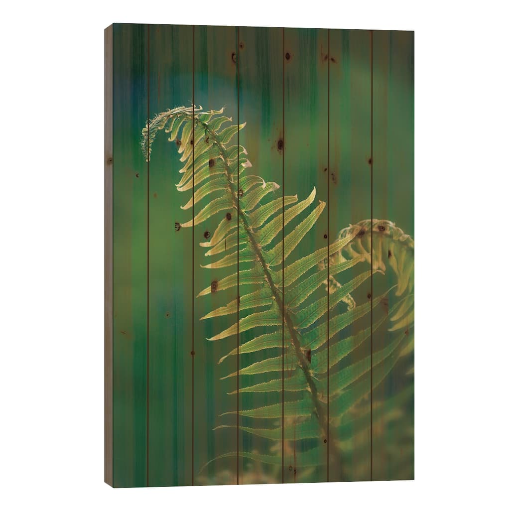Garden Fern Print On Wood by Savanah Plank - Multi-Color