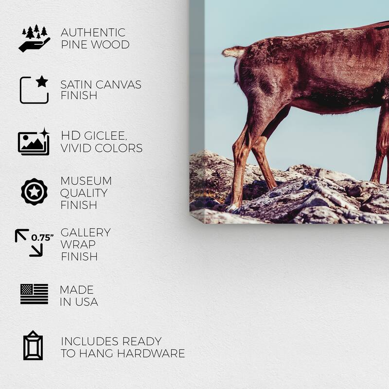 Wynwood Studio Canvas Animals In Its Own Habitat Blue and Light Blue Rustic Wall Art Canvas Print