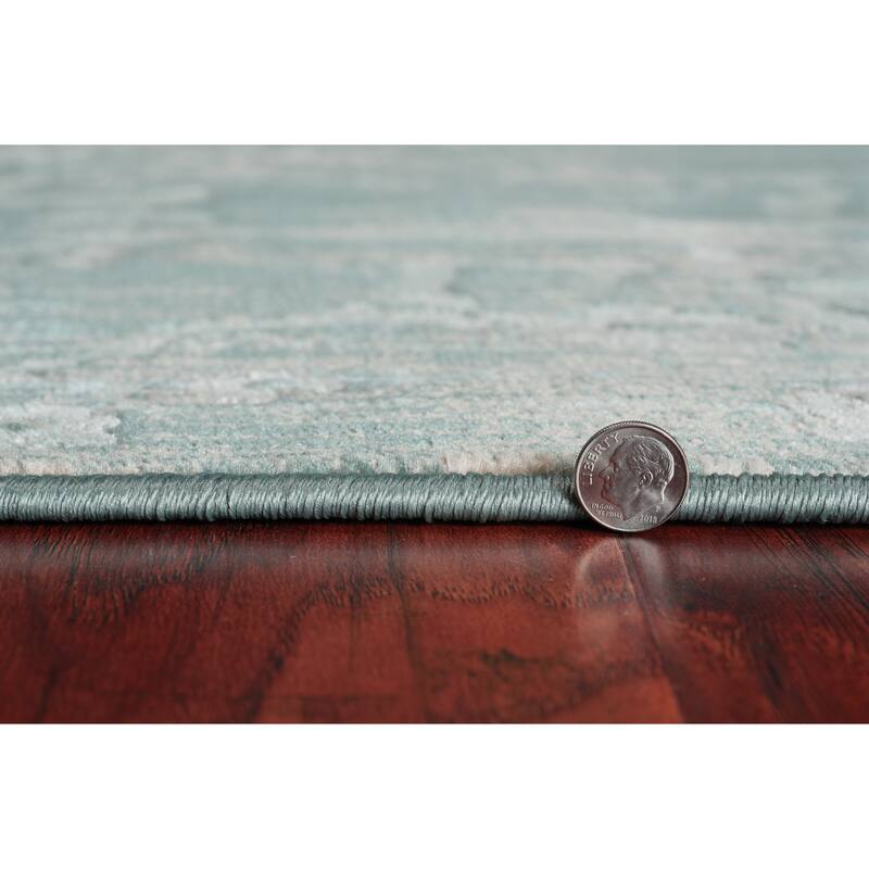 Domani Ekaterina Distressed Slate Traditional Medallion Rug