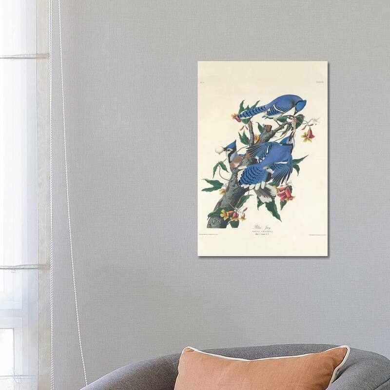 iCanvas "Blue Jay, 1831" by John James Audubon Canvas Print - 26x18x1.5