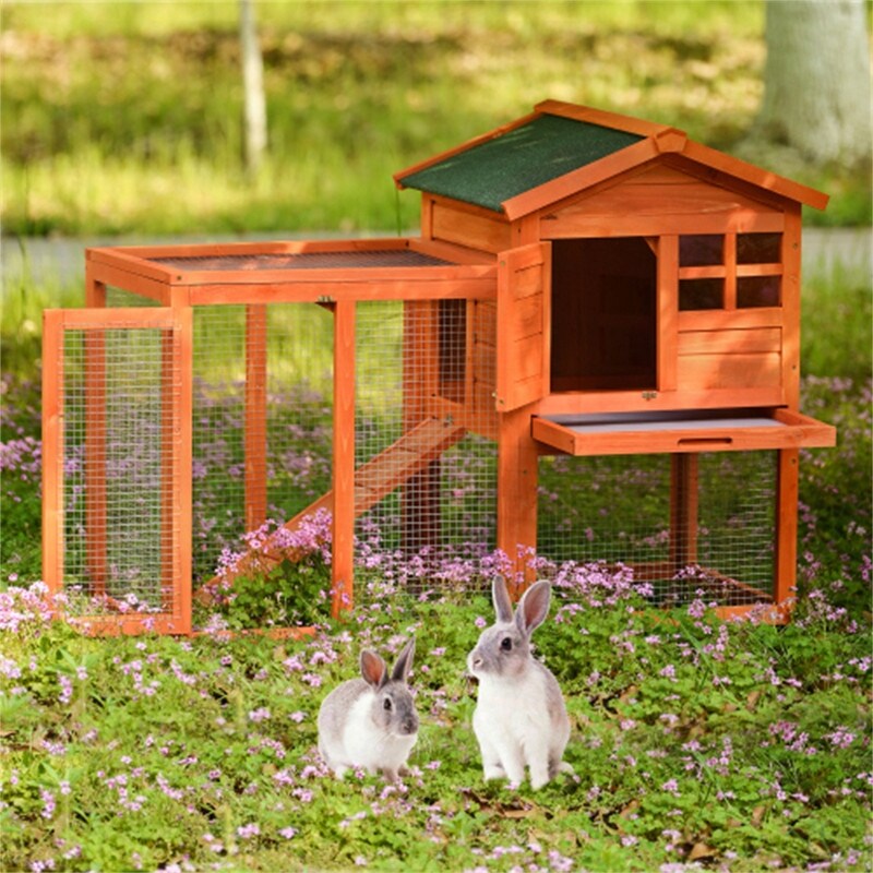 rabbit pet supplies