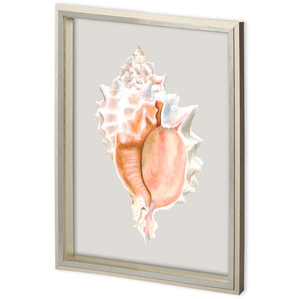 Custom Pink Murex Framed Art Print