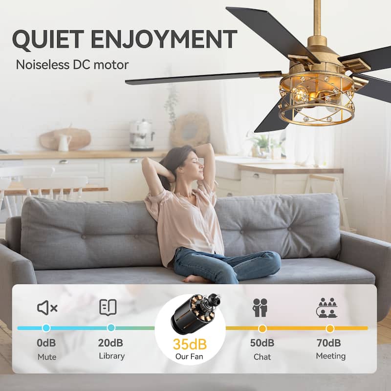 52-inch Reversible 5-Blade Caged Ceiling Fan with Remote and Light Kit