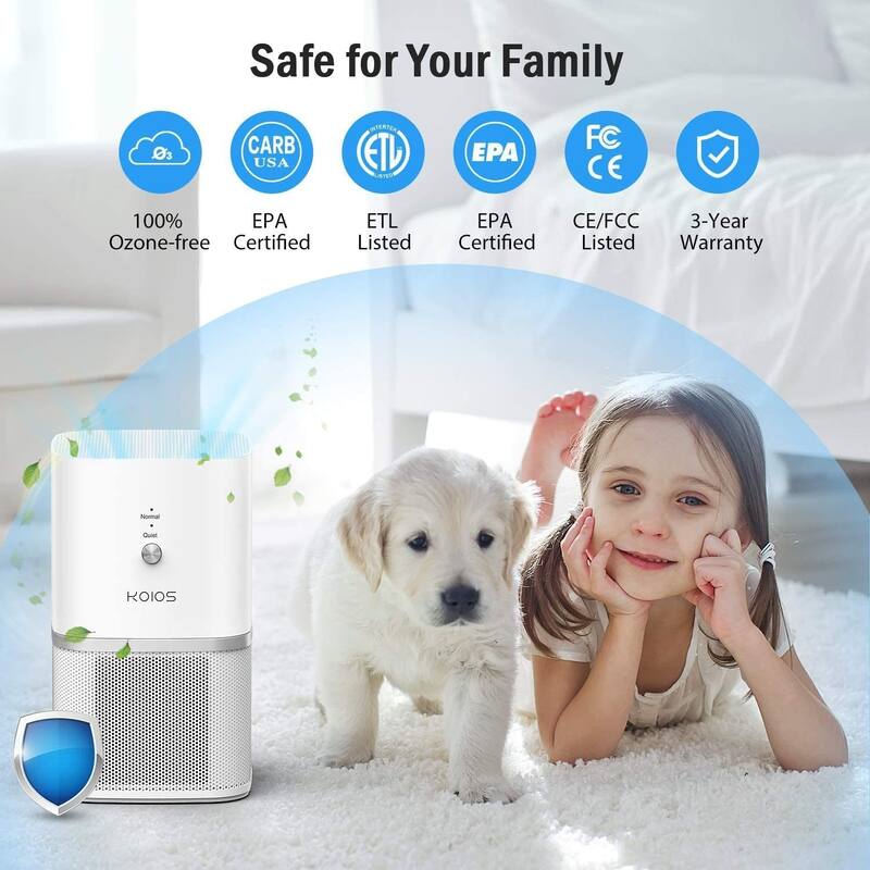 Small Air Purifiers with HEPA Filter, Air Cleaner Remove Smoke Dust