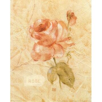 Shop Rose On Cracked Linen By Cheri Blum Floral Art Print 10