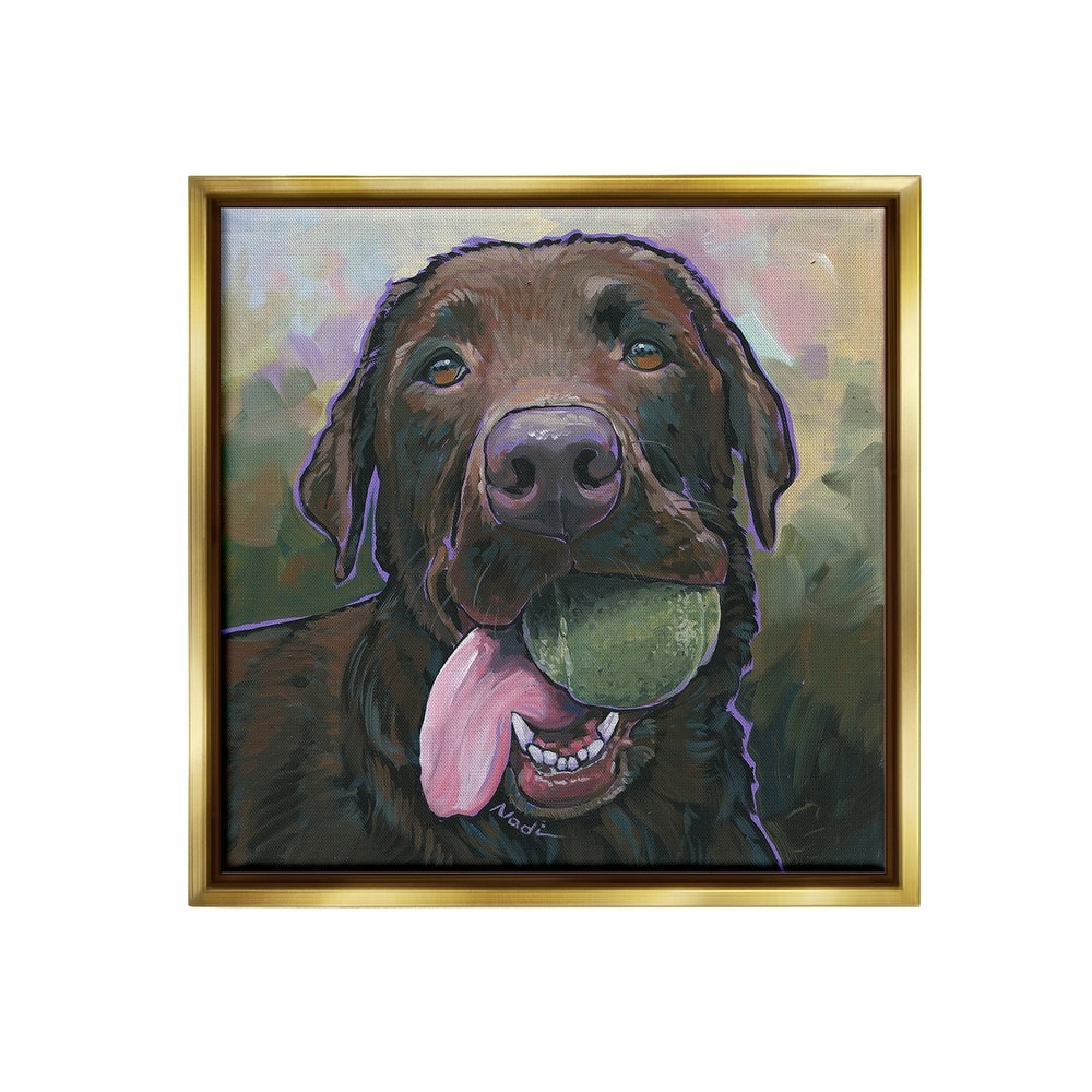 Stupell Dog Playing Ball Portrait Framed Floater Canvas Wall Art Design By Nadi Spencer