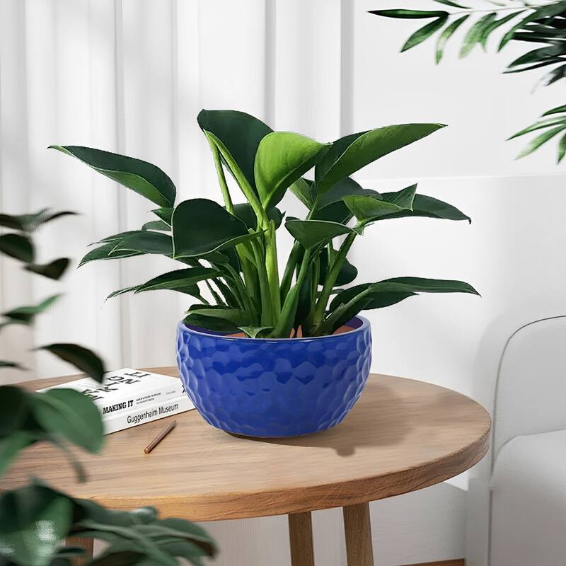 Ceramic Pots in Cobalt Blue Violets and Herbs with Breathable Design