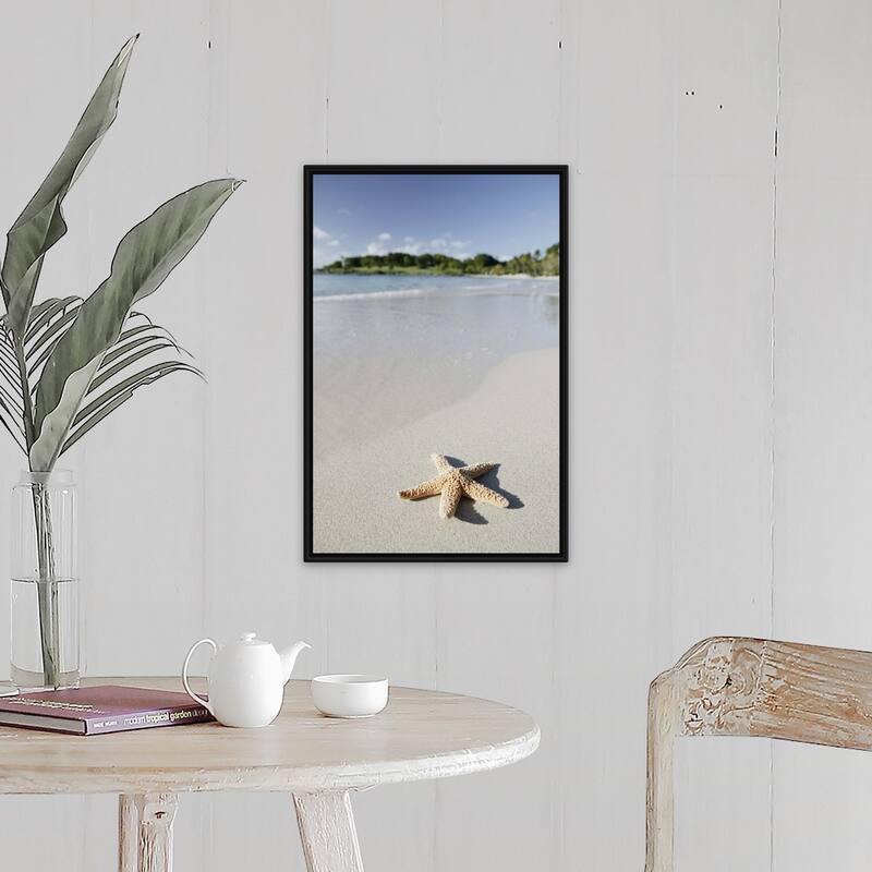 "Starfish on beach of Caribbean Sea, Virgin Islands" Black Float Frame Canvas Art - 16 x 24