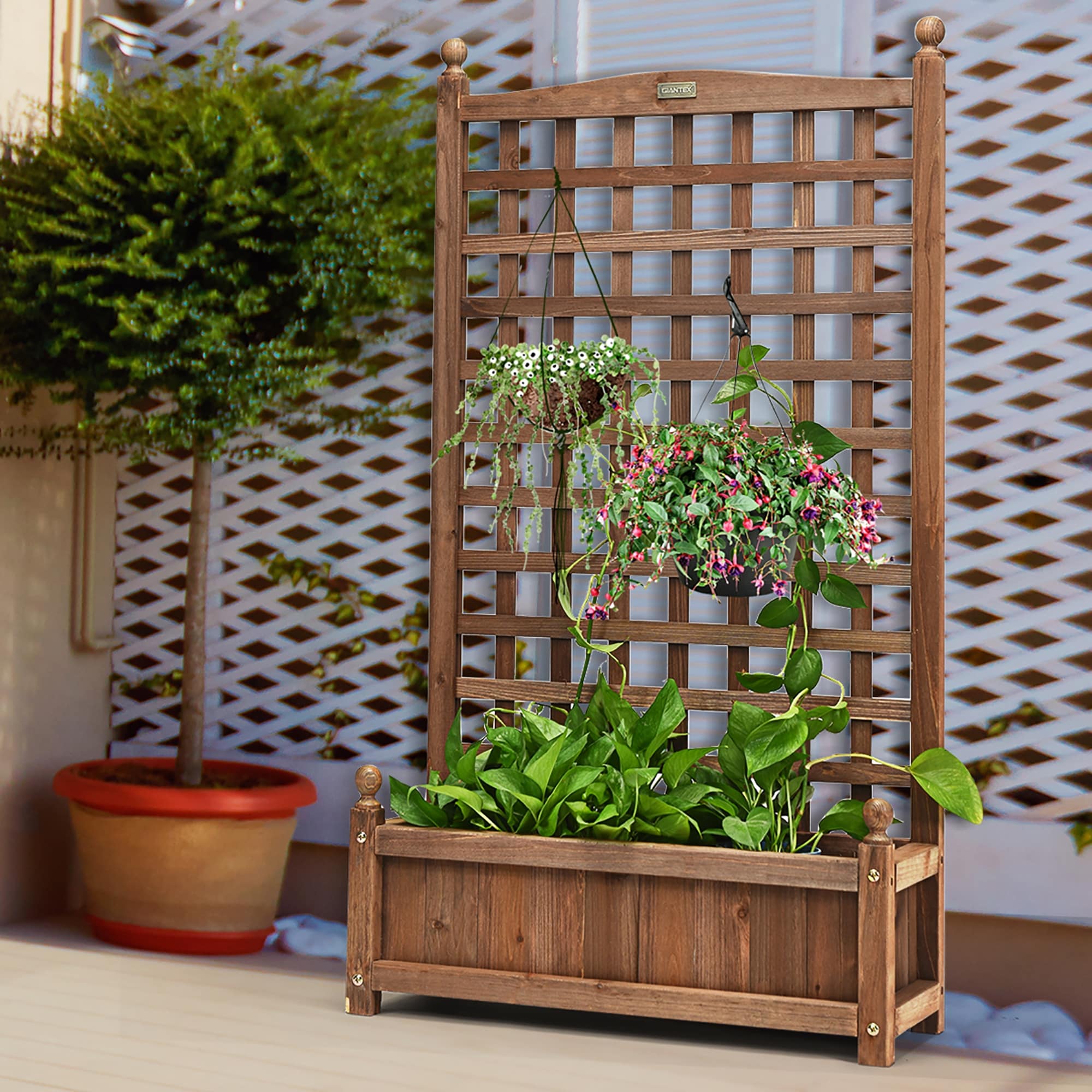 Costway 2 PCS Solid Wood Planter Box with Trellis Weather