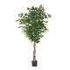 preview thumbnail 10 of 11, Harney Artificial Ficus Tree by Christopher Knight Home