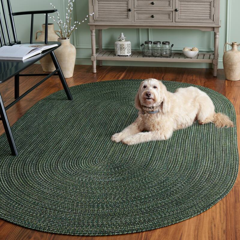 SAFAVIEH Handmade Braided Thijs Reversible Rug