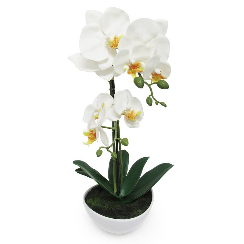 Artificial Phalaenopsis Orchid Flower Arrangement in Pot 16in