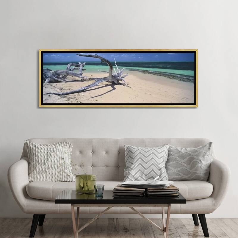 iCanvas "Driftwood on the beach, Green Island,Great Barrier Reef, Queensland, Australia" by Panoramic Images Framed Canvas Print