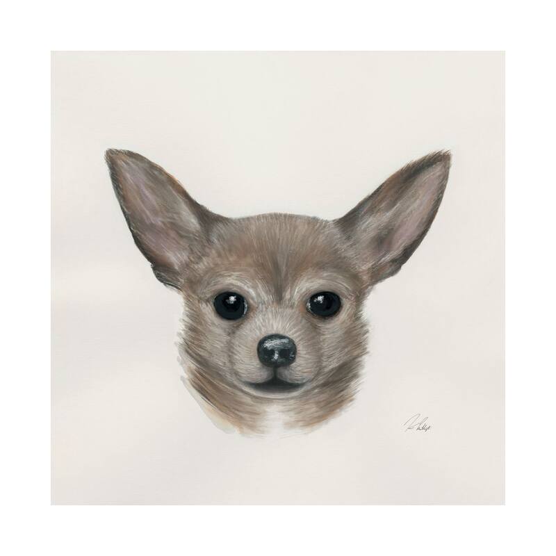 Charlote (Chihuahua) (30 x 30) Canvas Art Print - Large