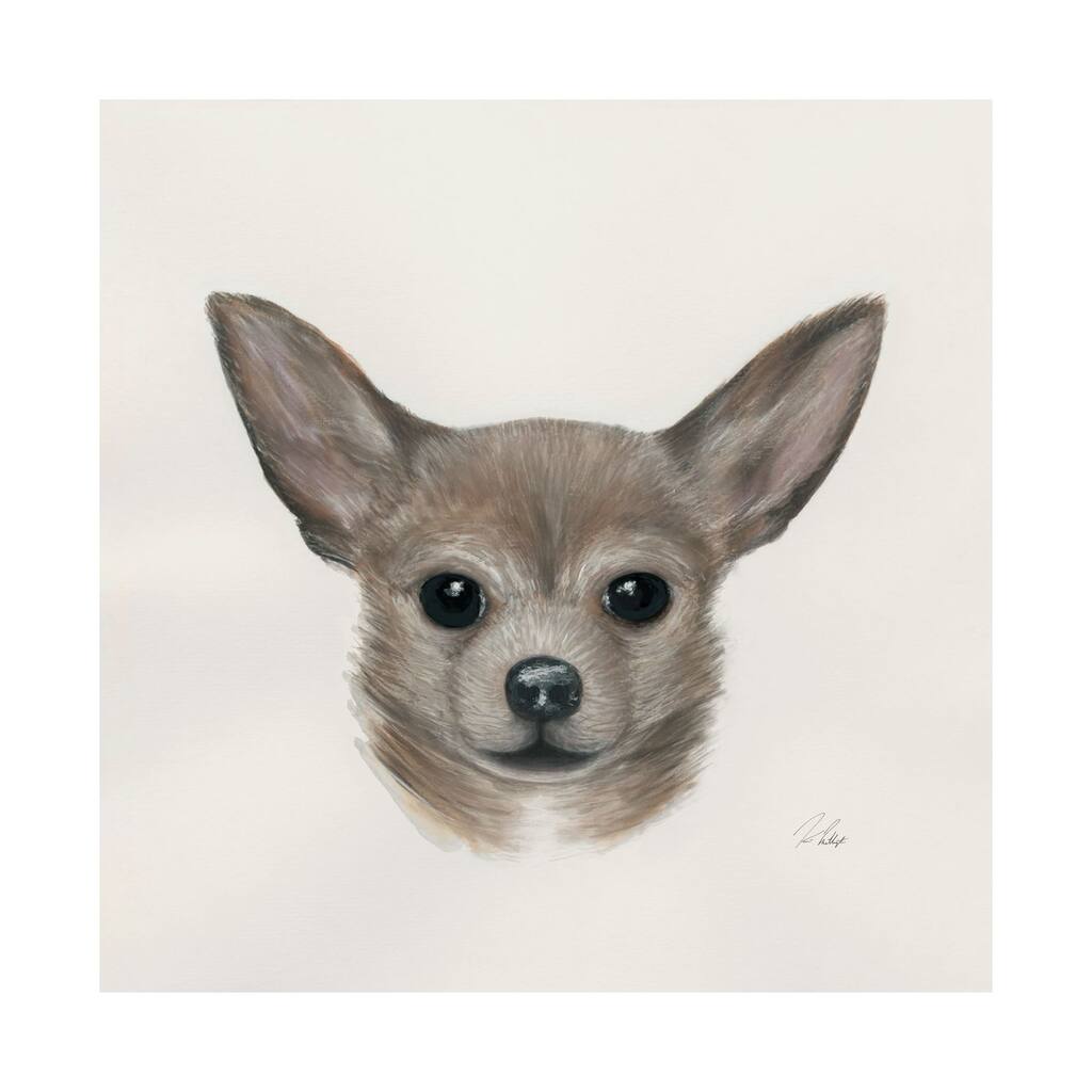 Charlote (Chihuahua) (30 x 30) Canvas Art Print