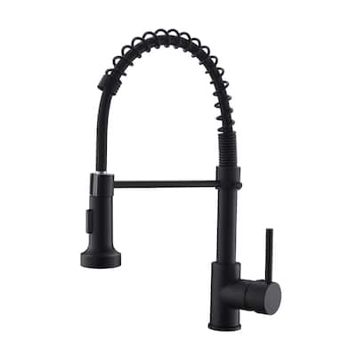 Commercial 2-Function Pulldown Kitchen Faucet