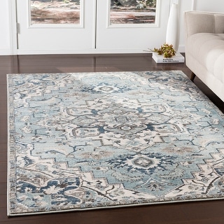 Arkaitz Teal & Ivory Updated Traditional Area Rug - 2' 6" x 7' 10"
