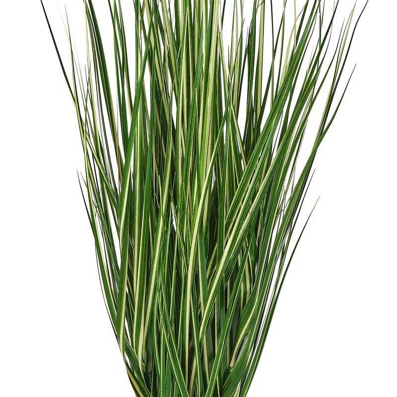 48" UV Potted Variegated Grass