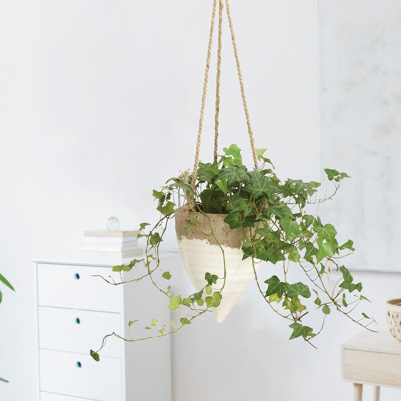 Terra-cotta Hanging Planter on Jute Rope