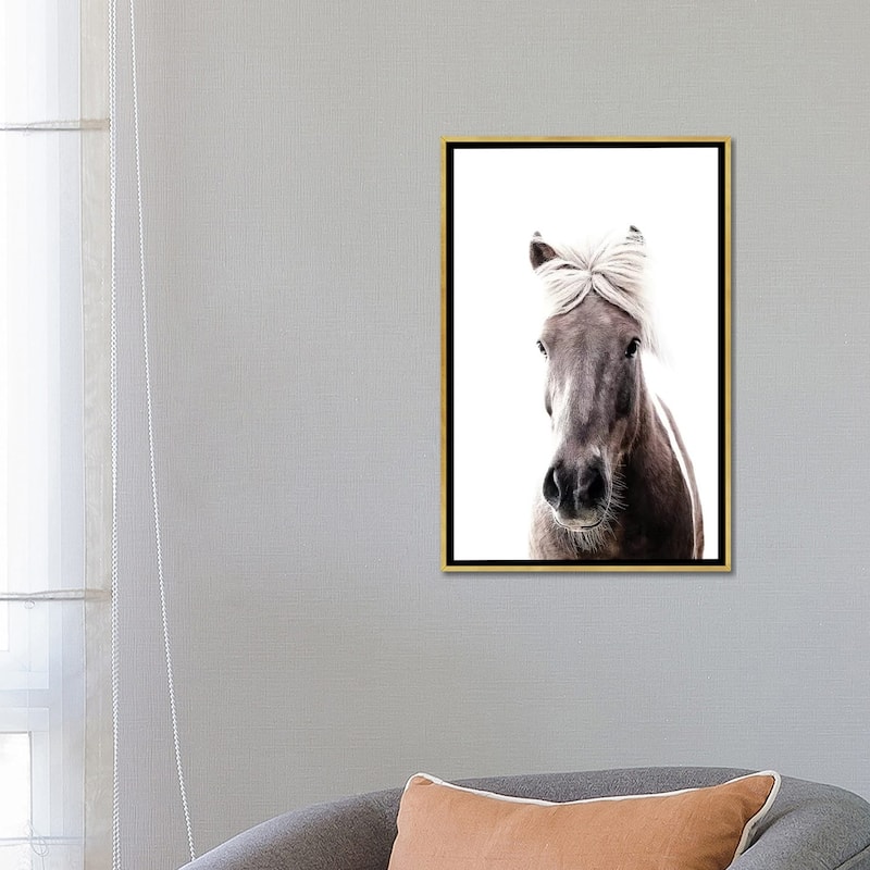 iCanvas "Iceland Horse Lucy I" by Monika Strigel Framed